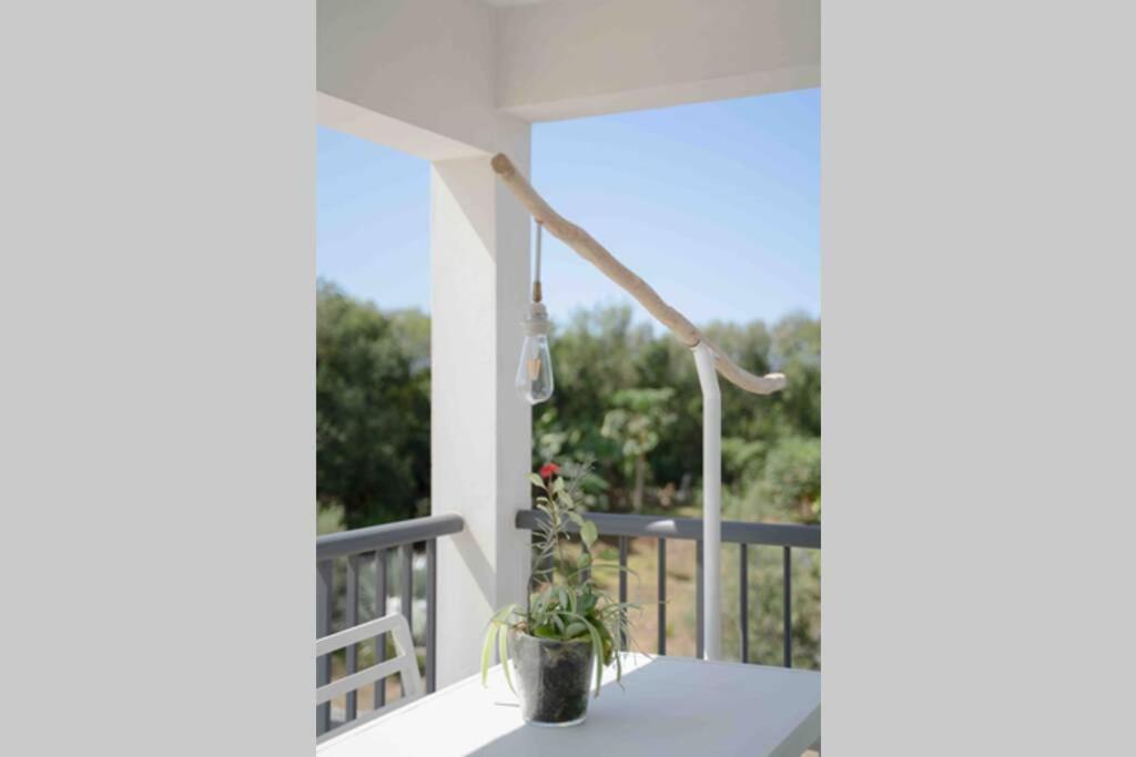 Ferienwohnung Ti-Punch T3 Climatise Manapany Les Bains Exterior foto